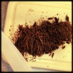 Foto 18.01.14 17 32 19