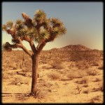 Foto 28.01.14 21 24 00