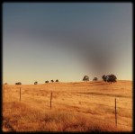 Foto 28.01.14 21 24 43