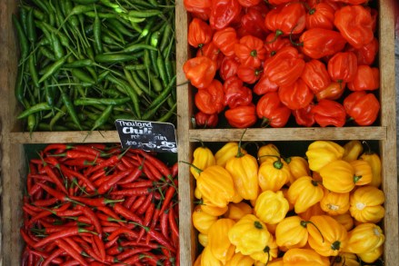 Obst&Gemüse_Nov09 (13)