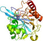 CLS Research Office (CC-by-sa)