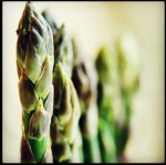 Wild Tofu Flickr CC-by